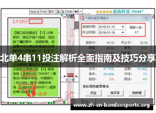 北单4串11投注解析全面指南及技巧分享
