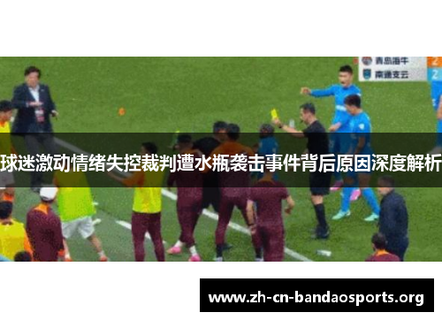 球迷激动情绪失控裁判遭水瓶袭击事件背后原因深度解析
