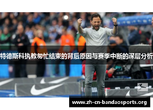 特德斯科执教匆忙结束的背后原因与赛季中断的深层分析