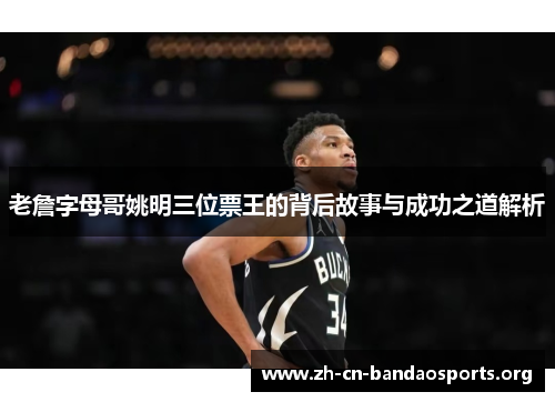 老詹字母哥姚明三位票王的背后故事与成功之道解析