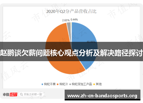 赵鹏谈欠薪问题核心观点分析及解决路径探讨