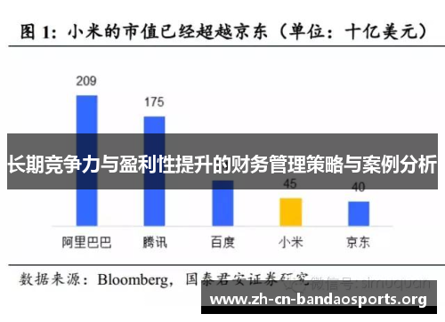长期竞争力与盈利性提升的财务管理策略与案例分析 长期竞争力与盈利性提升的财务管理策略与案例分析