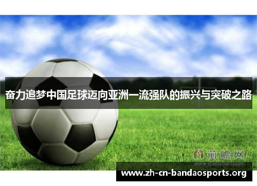 奋力追梦中国足球迈向亚洲一流强队的振兴与突破之路