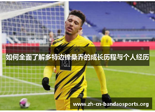如何全面了解多特边锋桑乔的成长历程与个人经历