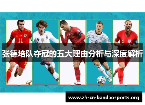 张德培队夺冠的五大理由分析与深度解析