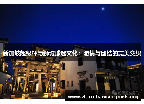 新加坡超级杯与狮城球迷文化：激情与团结的完美交织